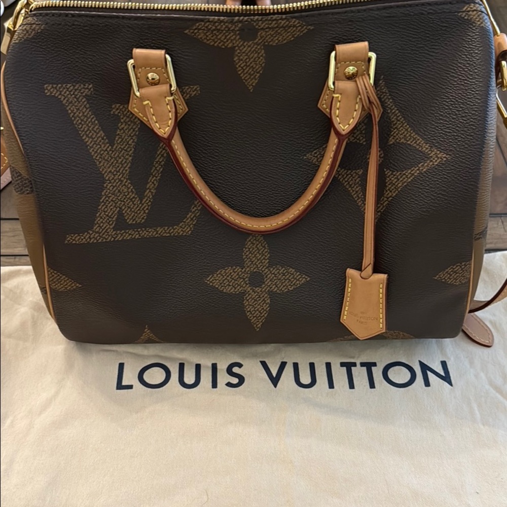 Louis Vuitton Speedy 30 Bandolier Giant Print